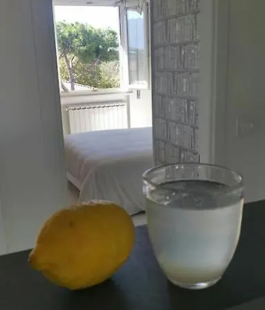 Attico Sui Pini Apartment *